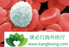 ��ŷ��Blincyto�Ǹ���������Bϸ��ǰ�弱�԰�Ѫ������ҩ��