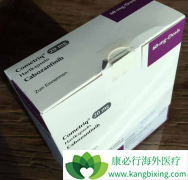 �������ᣨXL-184������TKI����EGFR-TKI��ҩ��ҩ�ΰ�����Ч����ô����