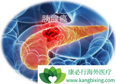 ���ٰ������������޿������������ٰ��ܻ��ã�