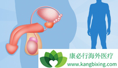 ����ǰ���ٰ�֢״�ͳ��õ�ǰ���ٰ�������ҩ�����