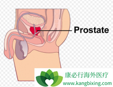 CAR-Tϸ���Ʒ���ǰ���ٰ��������л�����������Ч��