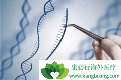 ����ҽ��ȫ�µ�CAR-T�����Ʒ�����׼����ʲô����