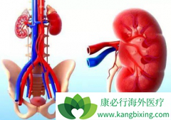 ����������������/��̹��ҩ����Է�����άĪ˾�Ͱ�������