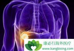 �ΰ������ƹ����м���������øΰ��������ƻ���