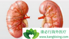 �������ڰ���ҩ������Щ����ôѡ������������Ʒ�����