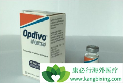 PD-1����Opdivo���ٴ�����֤ʵ��TMB���������Ƶ���Ҫ�����־��