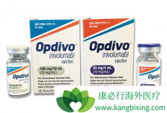 ���䵥����ΪNSCLC�¸������Ƶĸ����ú��ٶ���������ѧ�����45%