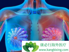 ʲô���ٰ������黯�����ٰ������黯ָ������Щ��