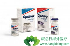 ����Opdivo����֮���߶���ʹ�ô��ڵ�����