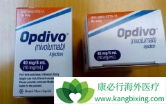 nivolumab�Բ��ʺ����������ڸ�ϸ�������߾��нϺ���Ч