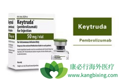 Keytruda���۶��һ�γ�ԽOpdivoʵ��������Ϯ