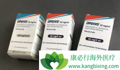 PD-1���Ƽ�Opdivoʲôʱ������򵽣����PD-1���Ƽ�����ڵ�һ����