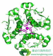 ��CD20ҩ������������(Rituximab)�ܼ���PBC���ߵ�ƣ��֢״��