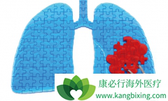 ������������(afatinib)�ļ����Ǽ��ٲ�����Ӧ��һ����Ч��ʩ