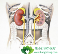 ������/��άĪ˾����Ч�Կ�ͨ���ɳ����Ŀ͹ۻ�����֤��