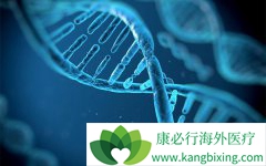 ���ڷΰ����Ǿ�����ѡ�ΰ����ƻ��ǻ��������Ʒ���