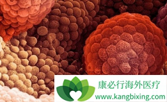 ���ð�������(ABIRATERONE)2����PSA��������˵��ҩ������Ч��