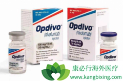 PD-1�������������ҩ���������Ƴ�Ϊ��֢����������