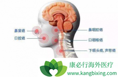 ��ķ����(pembrolizumab)����ͷ��������Ӧ��������������������