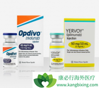 PD-1����ҩ��ŷ���֣�Opdivo�������û�������Щ���ƣ�