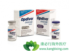 PD-1���������봫ͳ����ҩ������������