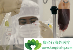 ʲô��CAR-Tϸ���Ʒ���CAR-Tϸ���Ʒ��е�CAR��T��ʲô��˼��