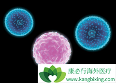 ���׸�ҩ��ʽ�Ĳ�ͬ�ܹ���������/����������ɵ�PN����