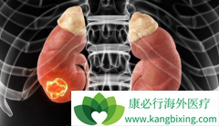 ����ҩ�������������������ڻ������ܻ�ӭ������ҩ��