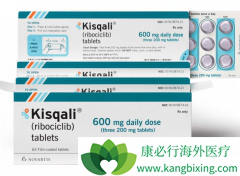 ���ٰ�CDK4/6���Ƽ����˸����еİ�����֮�⻹����Щҩ�