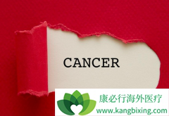 EGFR-TKI��ҩ��������ʳ���۰���������Ч����Σ�