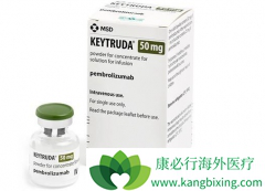 PD-1���Ƽ���������ʳ���۰����ߵ�Ч����ô����