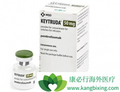 ��������һ�����Ƴ��˰���ҩ�ﻹ����ѡ������������