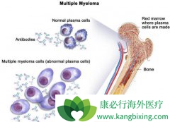 �෢�Թ�����֢״������ԭ��̽��