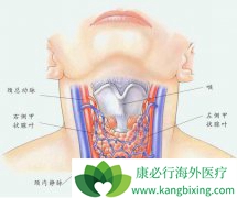 ��״������֢״���ٴ����ּ�Ԥ����ʩ