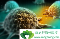 Ŀǰ�ѳ����д󲿷ֻ��߶�����Ƥ���ѳ���