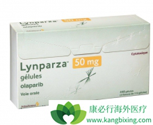 PARP���Ƽ���һ�����͵��ѳ������ư���ҩ��