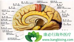 ������������֮����ע��ľŴ�ע������