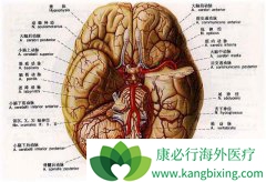 ������֢״����Щ���������������ĸ�Σ����������Щ��