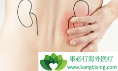 ��̹(Sunitinib)�Ͷ༪����������������ʲô��ͬ