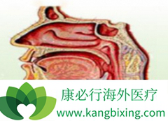 ���ʰ����ƺ󸴷��Ļ��߻����ڲ���ͬ���Ż�����