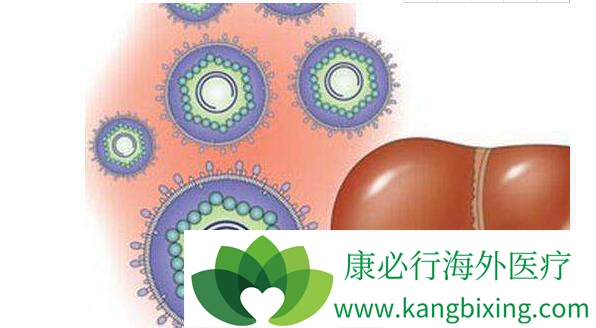 乙肝常识 乙肝常识