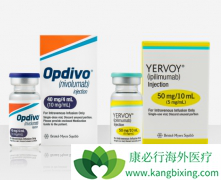 PD-1���Ƽ����������ƴ����ļ��Խ�չ��ʲô��˼��