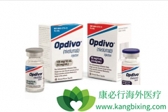 PD-1�����������Ʒ����Ƹ�ϸ������Ч����ô����