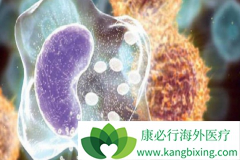 ������(Erbitux)��ŷ��û�л����׼ͷ����������Ӧ֢