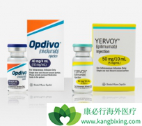 PD-1���Ƽ�Opdivo�����䵥�����ڹ������к��������ŷ����