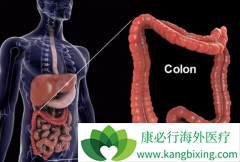 ��ֱ�������߿�����ѡ����������(Erbitux)������