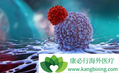 ϸ���Ʒ�CAR-T�������û������鼼�����ι���Tϸ��