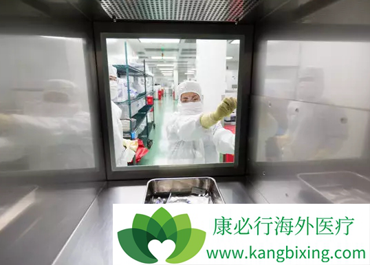 CAR-T细胞免疫疗法 CAR-T细胞免疫疗法