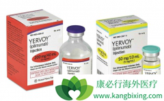 CTLA-4����Yervoy��Ipilimumab�����з����� Yervoy����������Щ��֢��