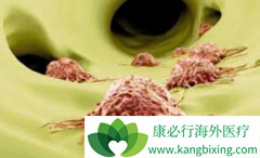 ������/��������ĸ����û������Ե��̴�ˮƽ�ĸ���Ӱ��